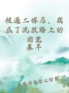被逼二嫁后，我成了流放路上的团宠