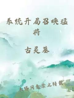 系统开局召唤猛将